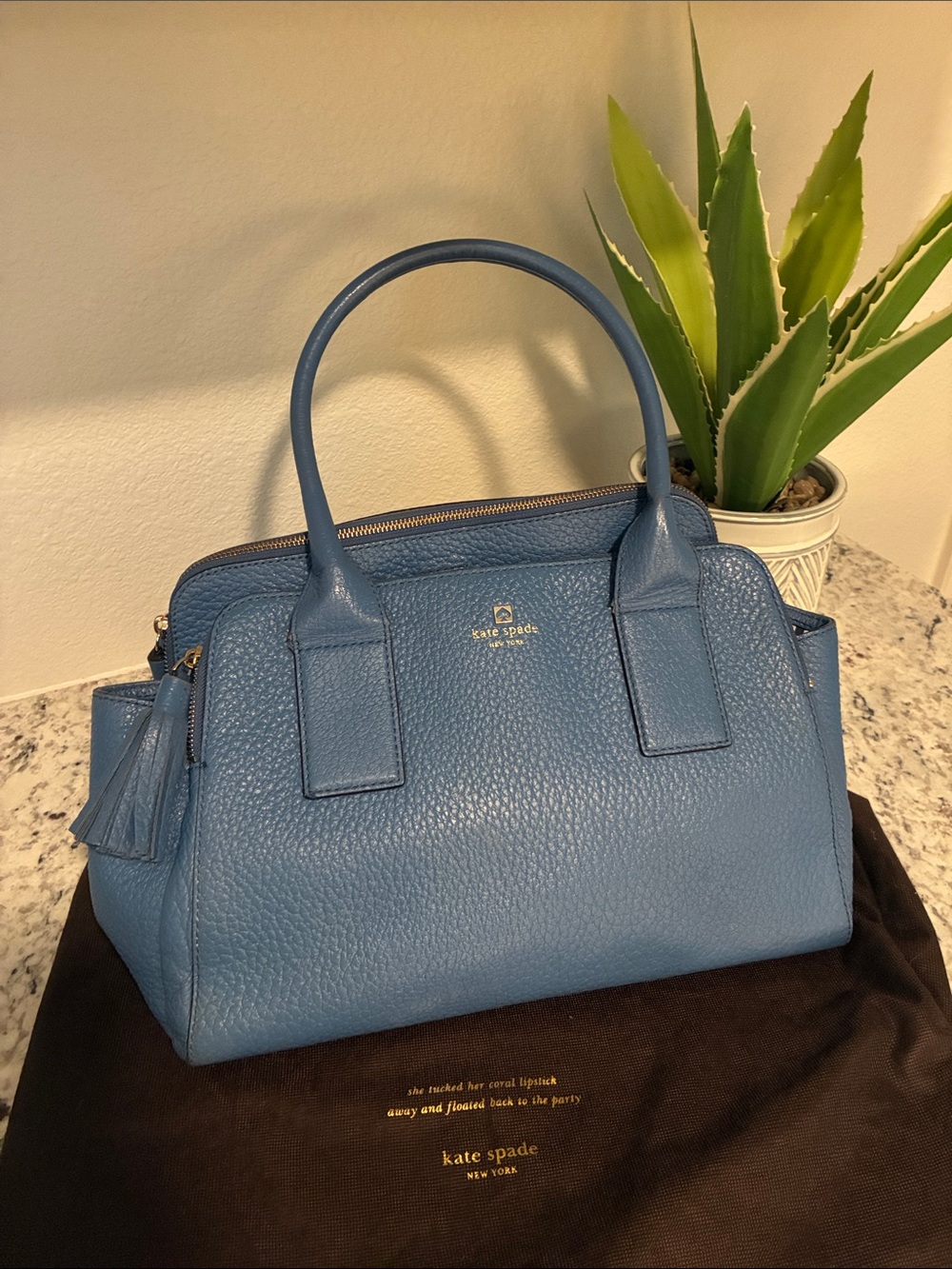 Kate Spade Southport Avenue Lydia in bright blue